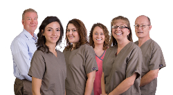 Physical Therapy Team